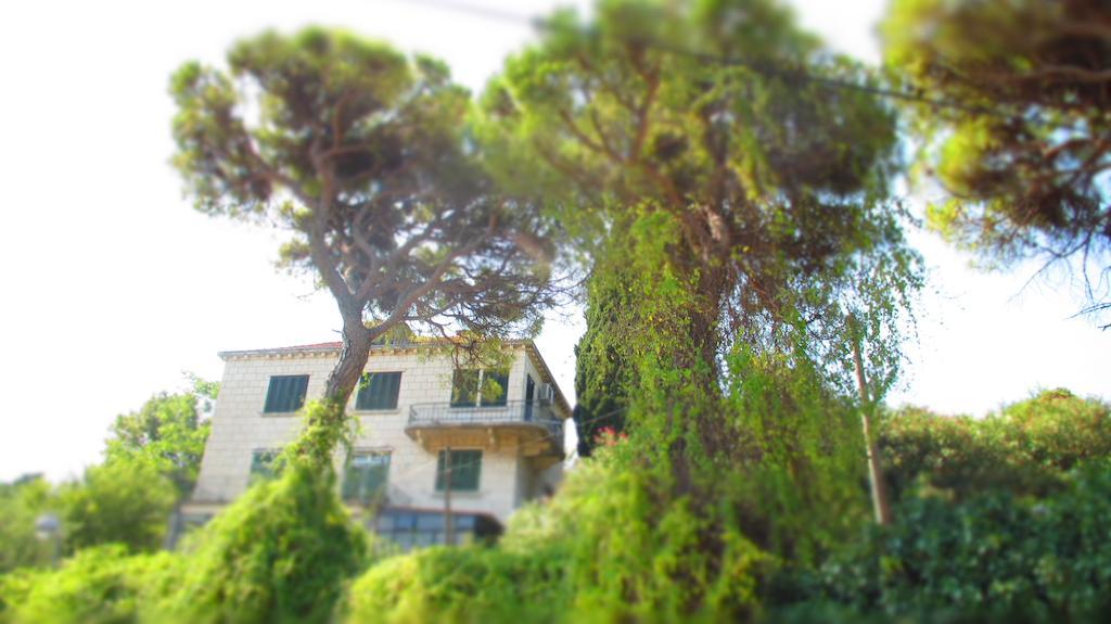 Apartment Dubrovnik Surprise Εξωτερικό φωτογραφία